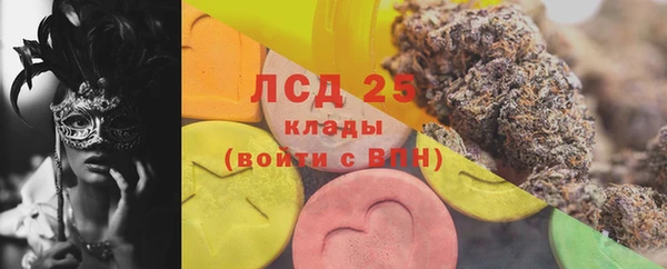 прущие грибы Богородицк
