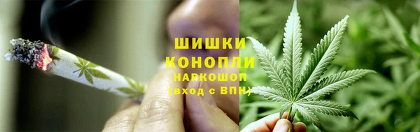 прущая мука Белокуриха