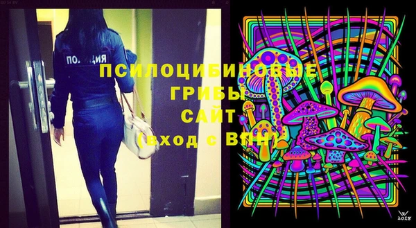 прущая мука Белокуриха