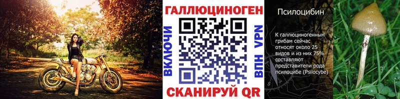 Галлюциногенные грибы Psilocybine cubensis  Купить где  Крымск 